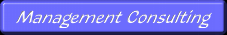 TCNetix Management Consulting